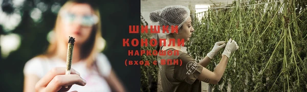 ECSTASY Нефтекумск